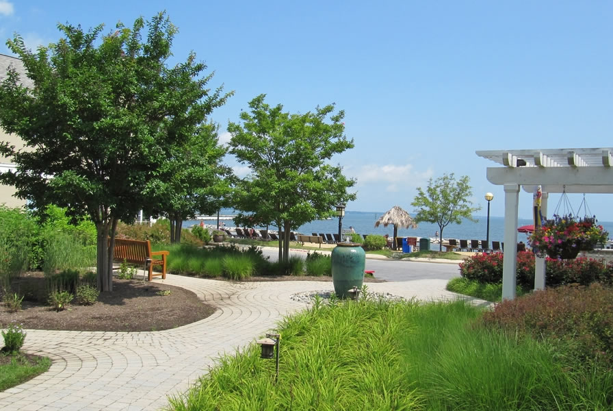 Chesapeake Bay Marinas Dining Lodging Herrington Harbour Private Beach