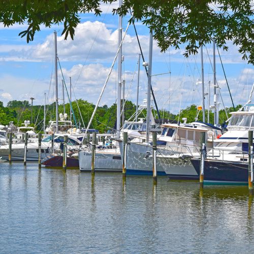 Docked Boats