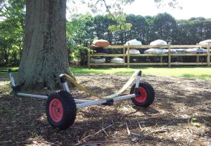 Dinghy Cart