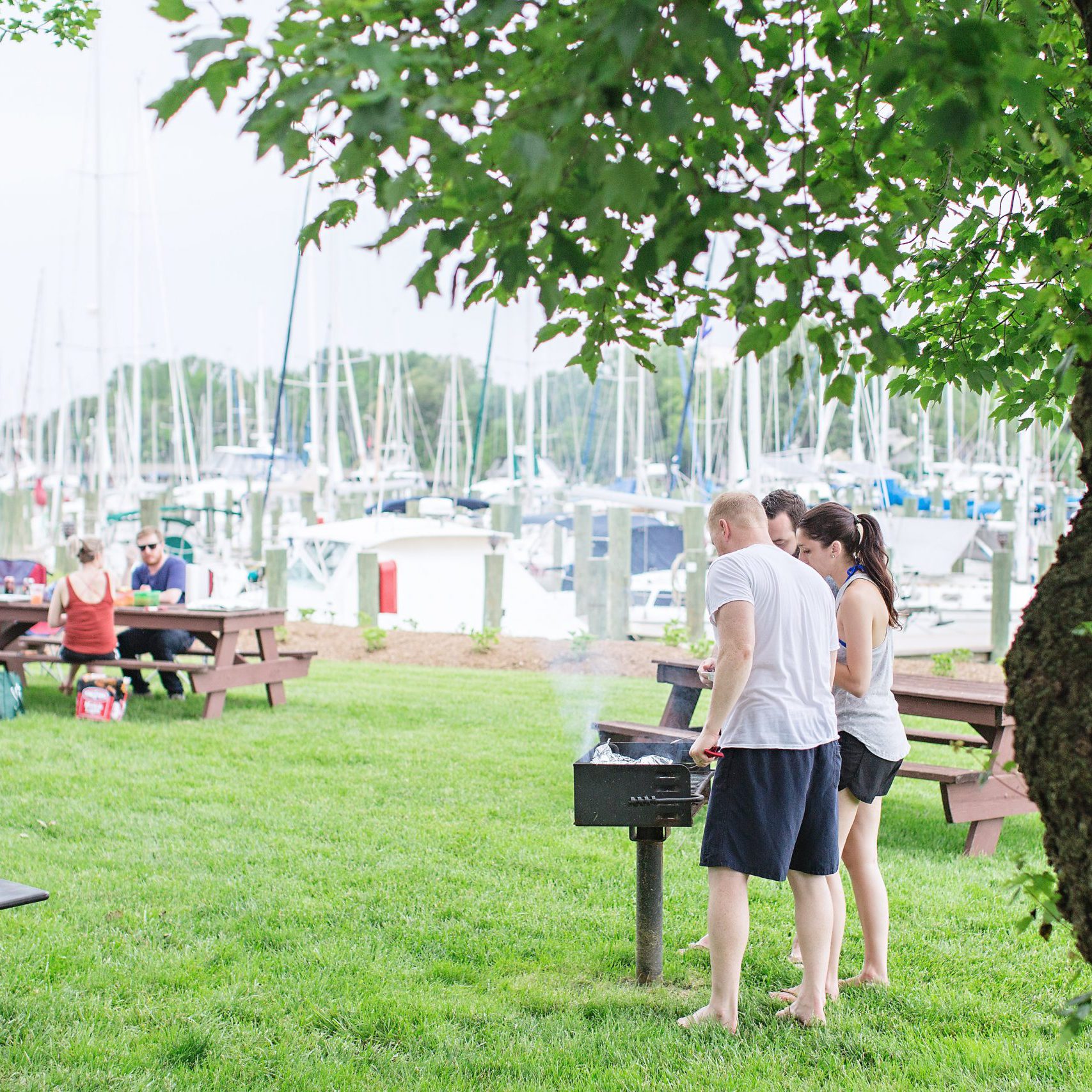 NO6A6036 picnic and grill