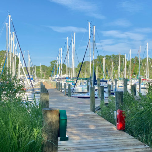 Chesapeake Bay Marina