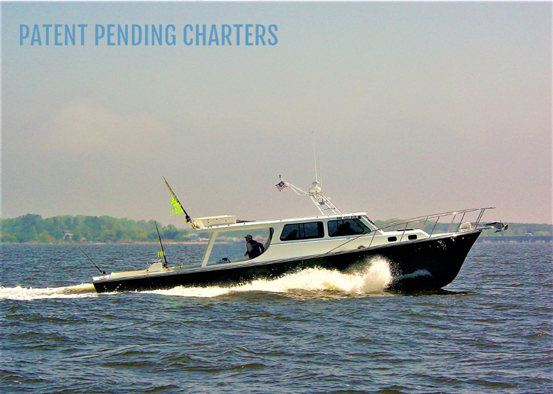 Charter Boat